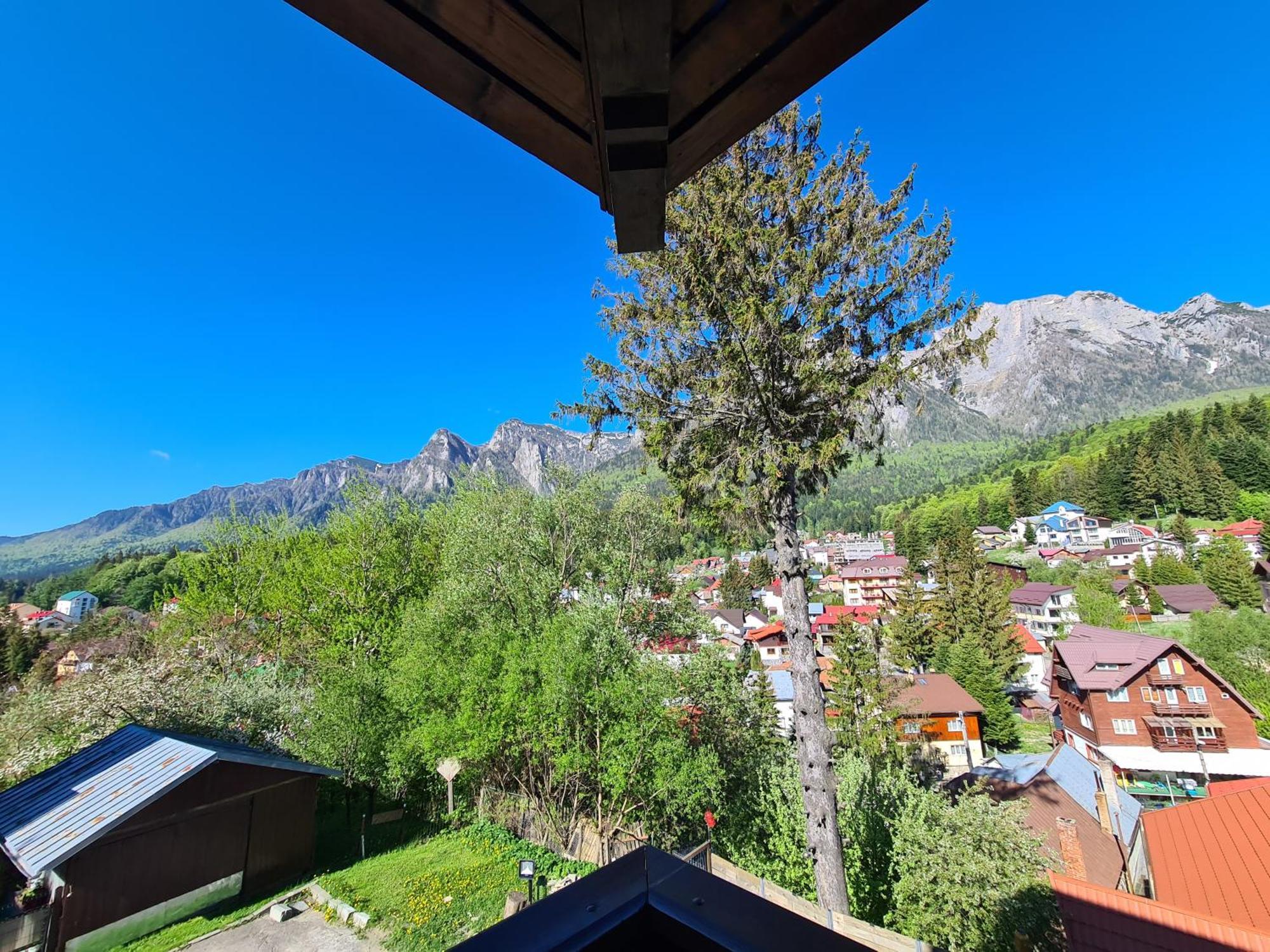 Casa Florescu Buşteni Dış mekan fotoğraf
