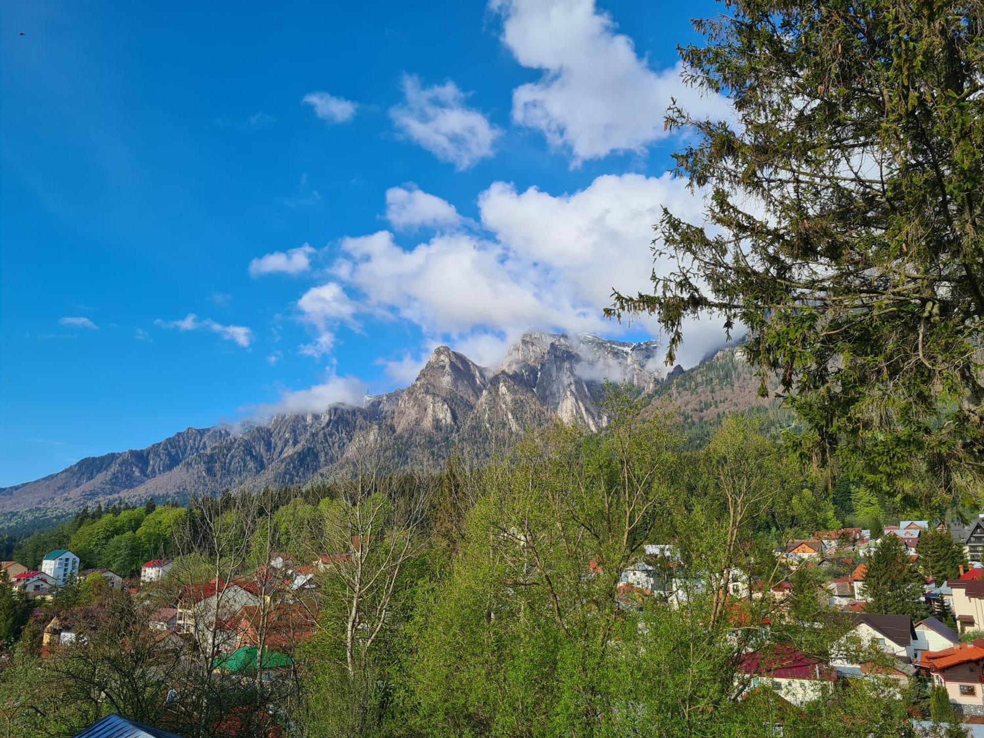 Casa Florescu Buşteni Dış mekan fotoğraf