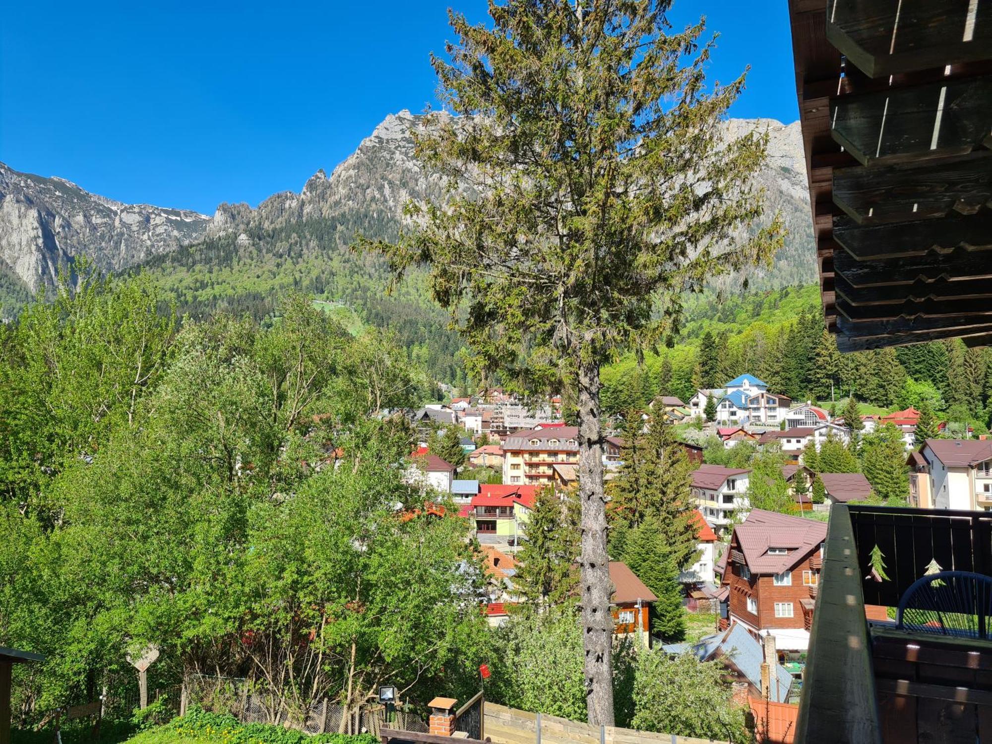 Casa Florescu Buşteni Dış mekan fotoğraf