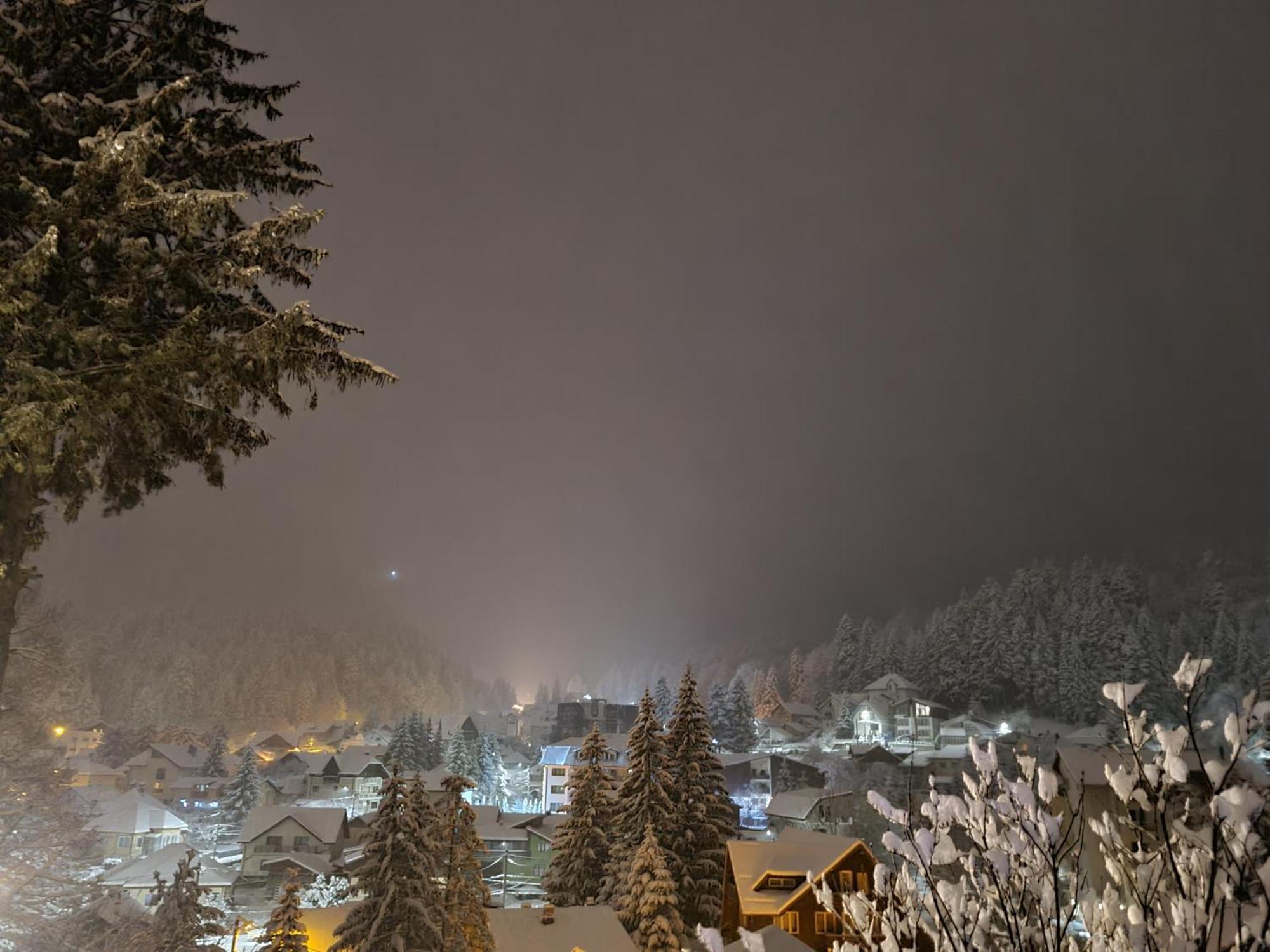 Casa Florescu Buşteni Dış mekan fotoğraf